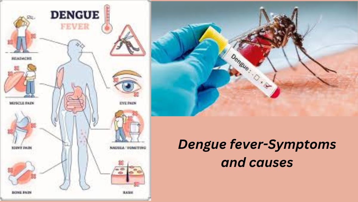 Dengue fever-Symptoms and causes