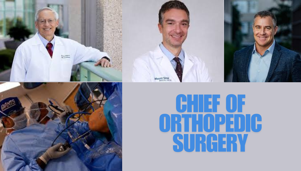 Chief of Orthopedic Surgery