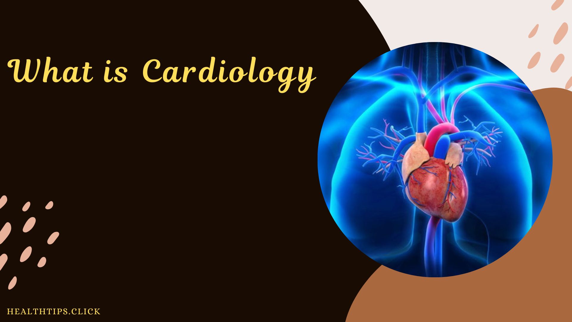 What is cardiology?