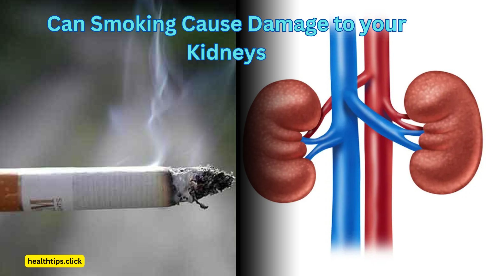 Can Smoking Cause Damage to your Kidneys