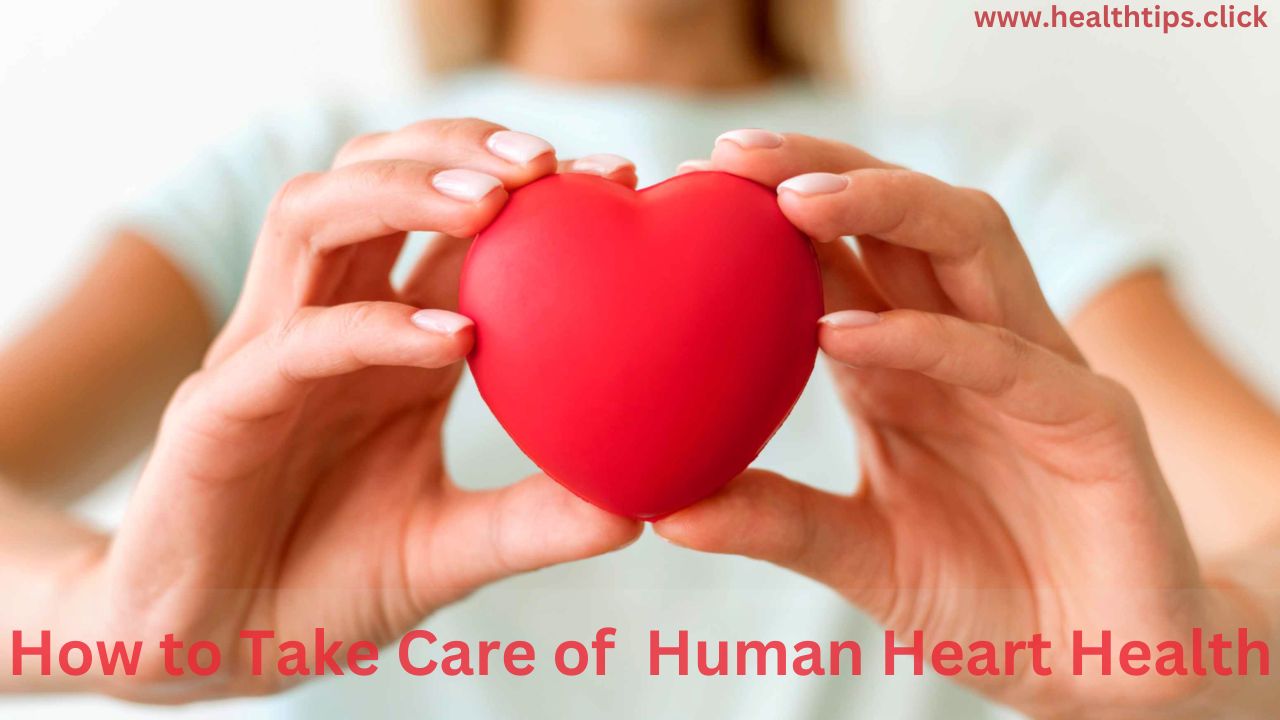 How to Take Care of Human Heart Health